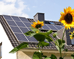 Solar & Renewable Energy